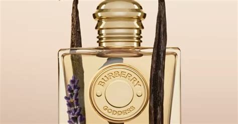 Resenha de Goddess da Burberry ~ Avaliação de Fragrâncias